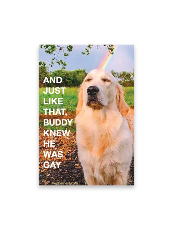 Magnet: And Just Like That, Buddy Knew