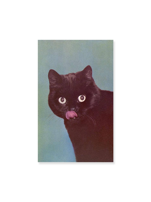Magnet: Black Cat Licking Chops