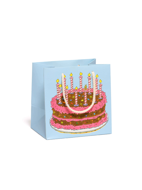 Dolly Pig Birthday Gift Bag: Small