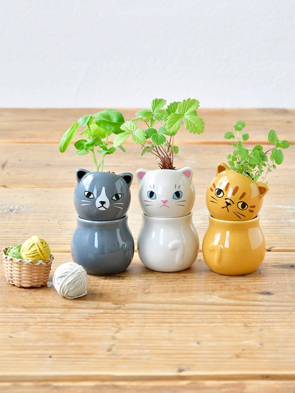 Corocoro Cat Planter: Assorted