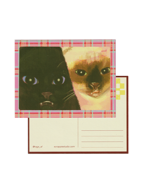 Cat Selfie Postcard