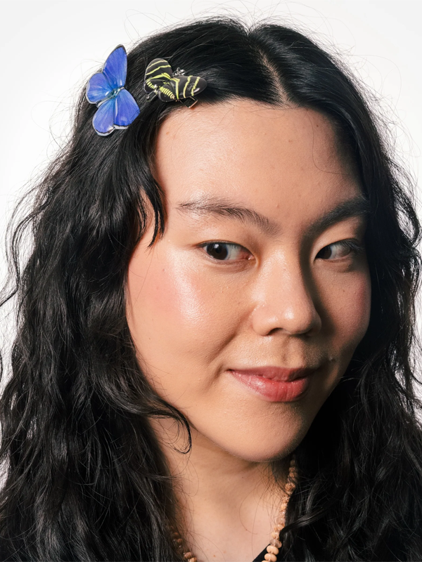 Allie Butterfly Clips: Light Catchers (Set of 2)