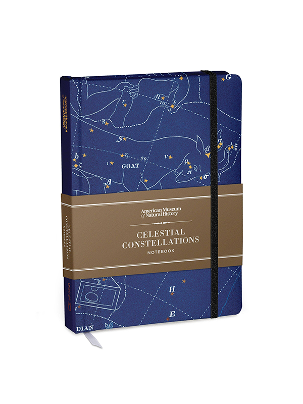 Celestial Constellations Notebook