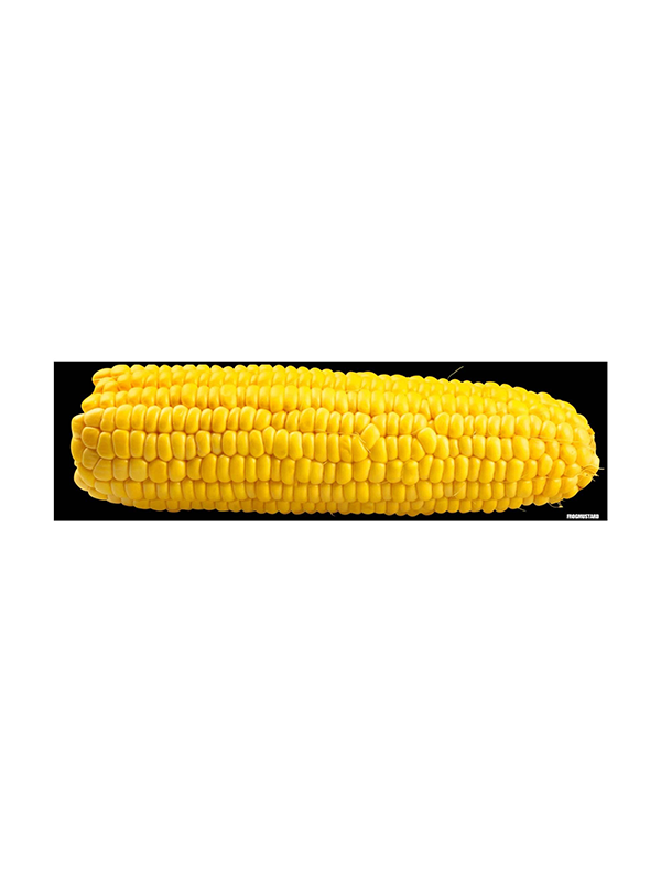 Car Magnet: Corn on the Cob