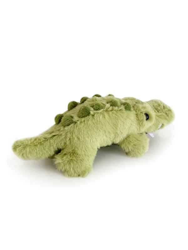 Forgotten Charlie the Crocodile