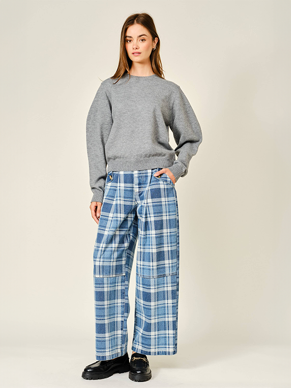 Oxford Barrel Leg Pants: Denim Plaid