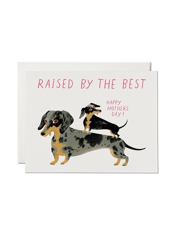 Raised by the Best Mother's Day Card