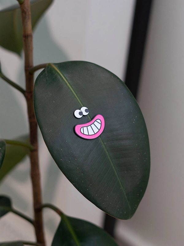 PlantMagnets™ - Plant Charms for potted plants – Eufolia