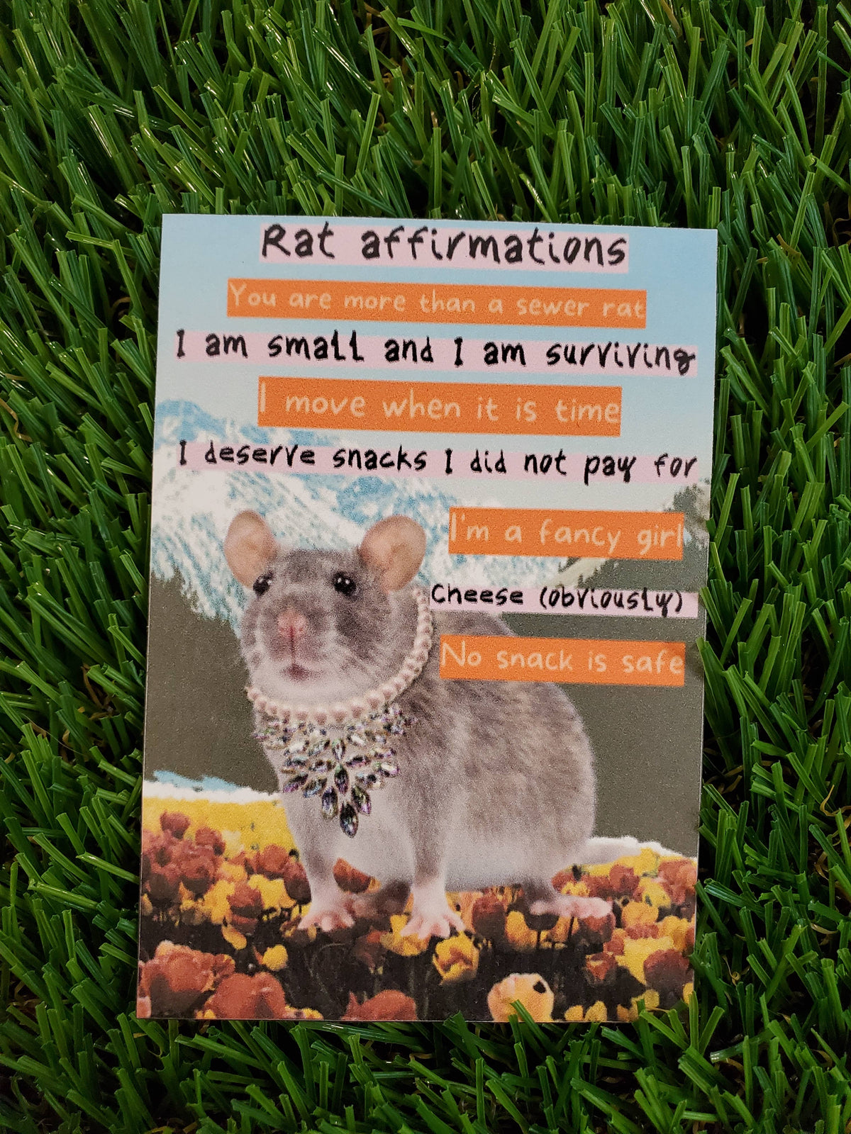 Rat Affirmations Magnet