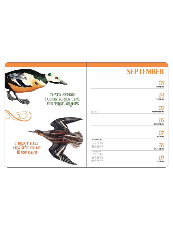 Effin' Birds 2027 Planner Calendar