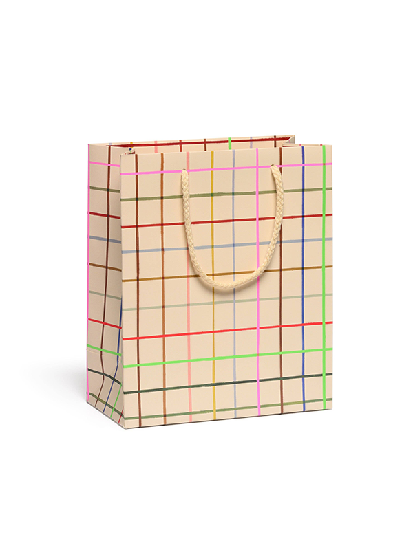 Color Grid Gift Bag: Medium