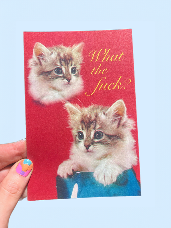 What The F*ck? Kitten Postcard