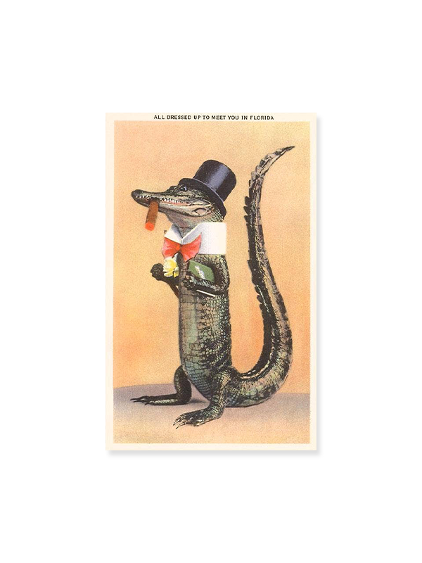 Magnet: Alligator in Top Hat