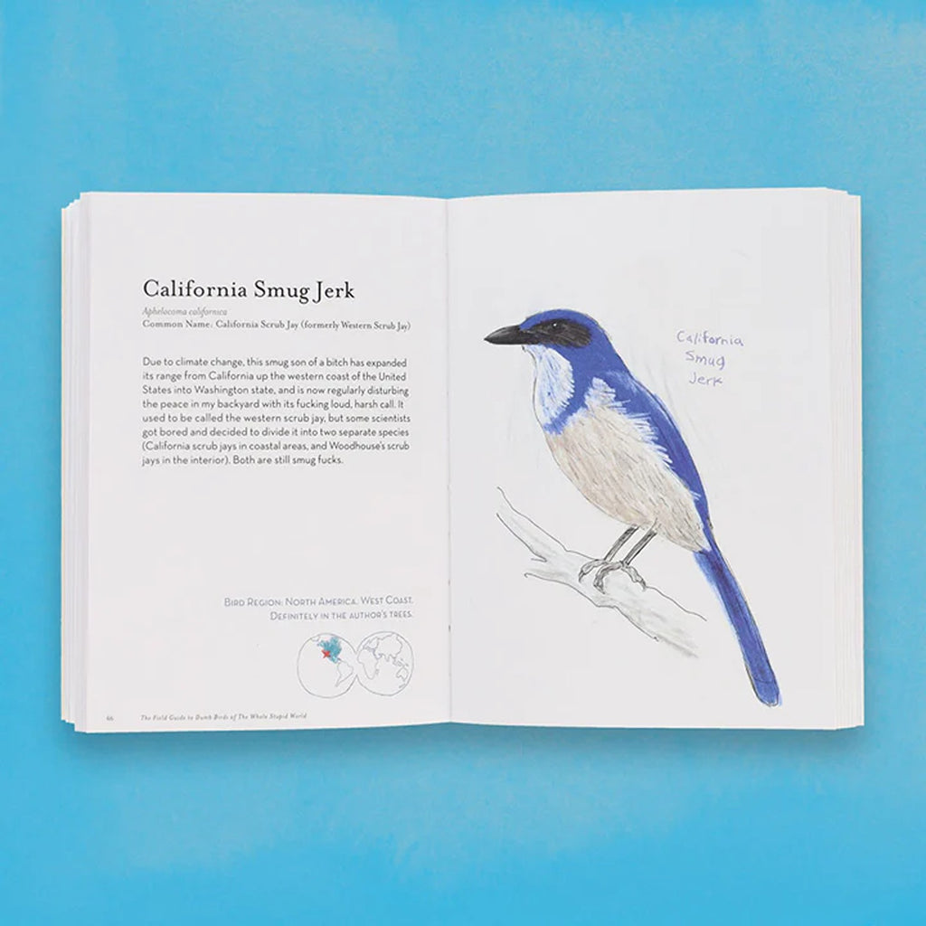 The Field Guide to Dumb Birds of the Whole Stupid World book featuring humorous illustrations and descriptions of various birds, perfect for bird lovers with a sense of humor.