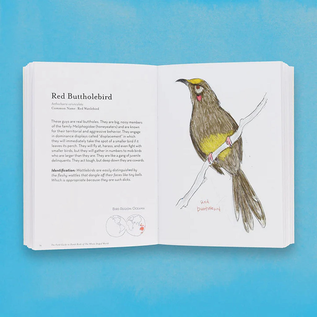 The Field Guide to Dumb Birds of the Whole Stupid World book featuring humorous illustrations and descriptions of various birds, perfect for bird lovers with a sense of humor.