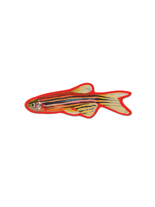 Red Phish Sticker