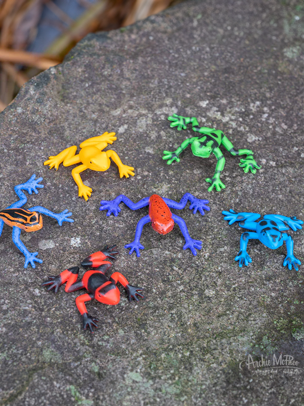 Itty Bitty Poison Dart Frogs: Bag of 6