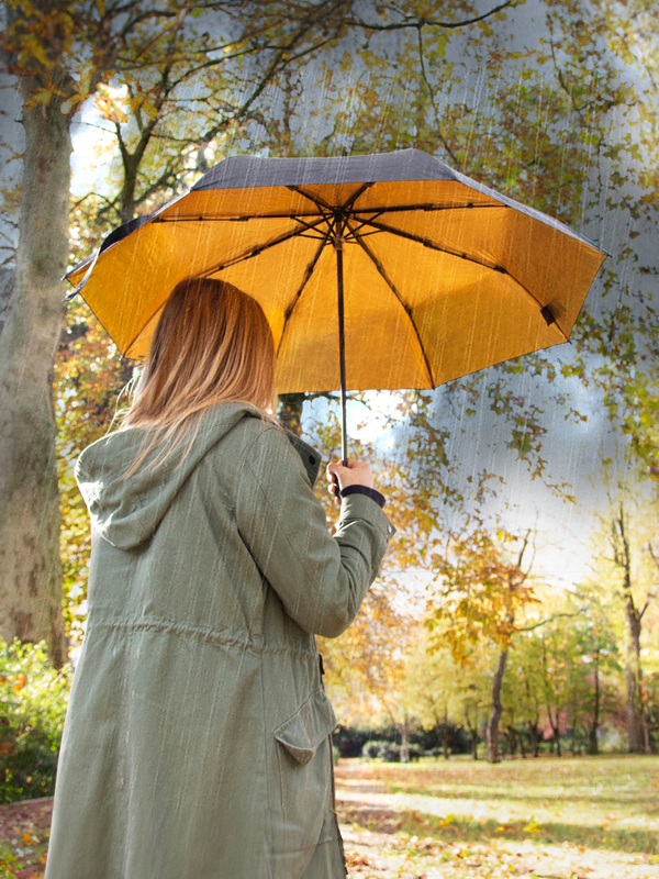 Compact Umbrella: Black & Gold (FINAL SALE)