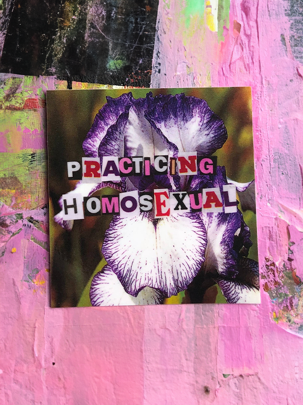 Practicing Homosexual Sticker