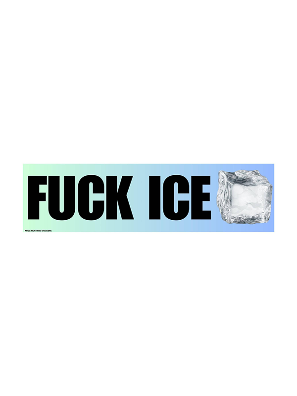 Car Magnet: F*ck ICE