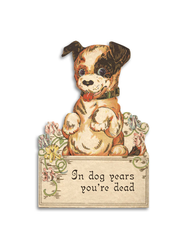 In Dog Years You're Dead Card