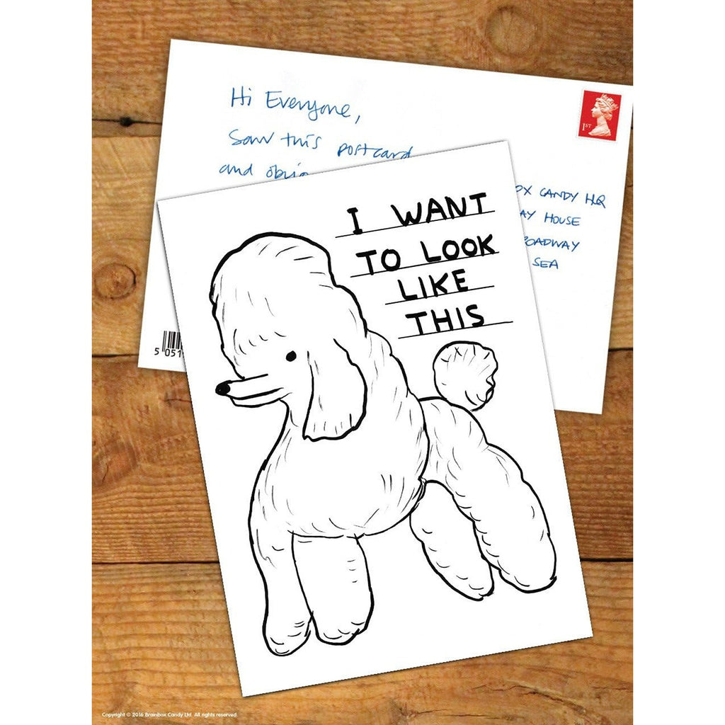 A humorous postcard by David Shrigley, featuring a quirky illustration and the text 'Want To Look Like This,' in his signature style of playful, satirical artwork.