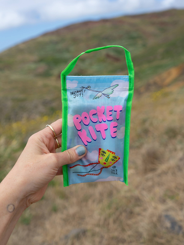 Pocket Kite: Sky Seer