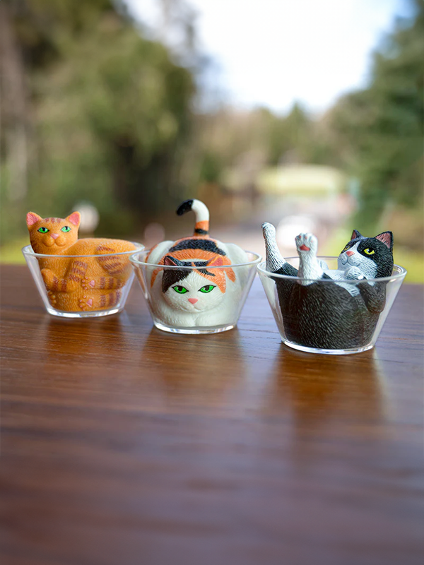 Liquid Cats (Assorted)