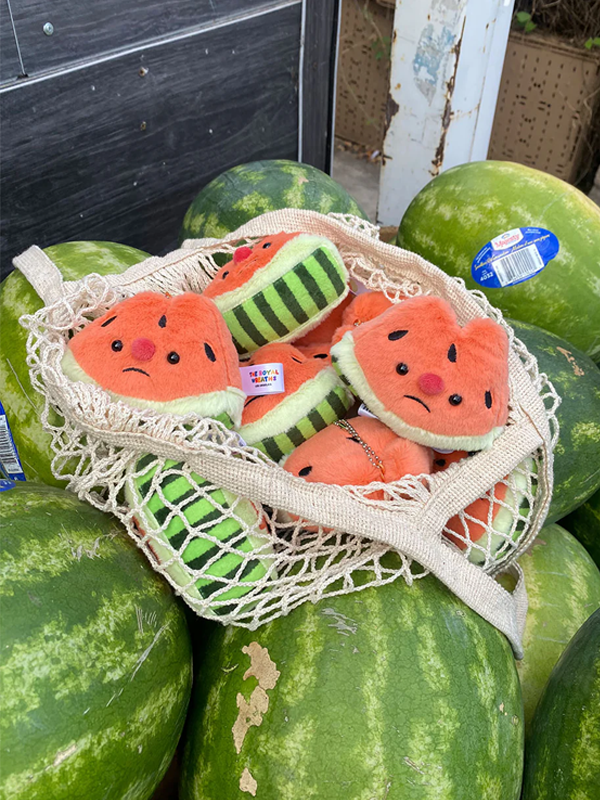 Forgotten Bitten Watermelon Slice