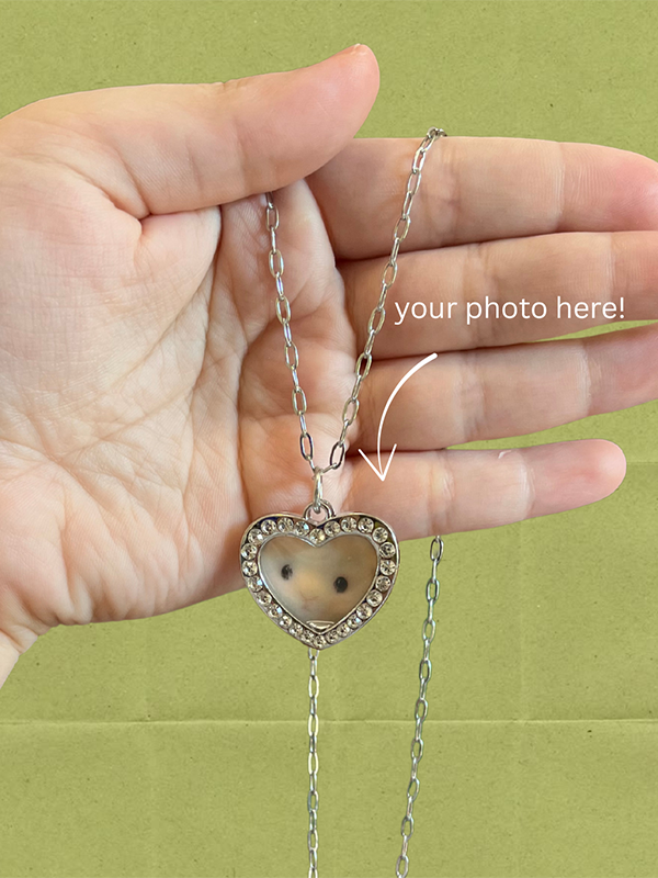 Interchangeable Photo Frame Necklace