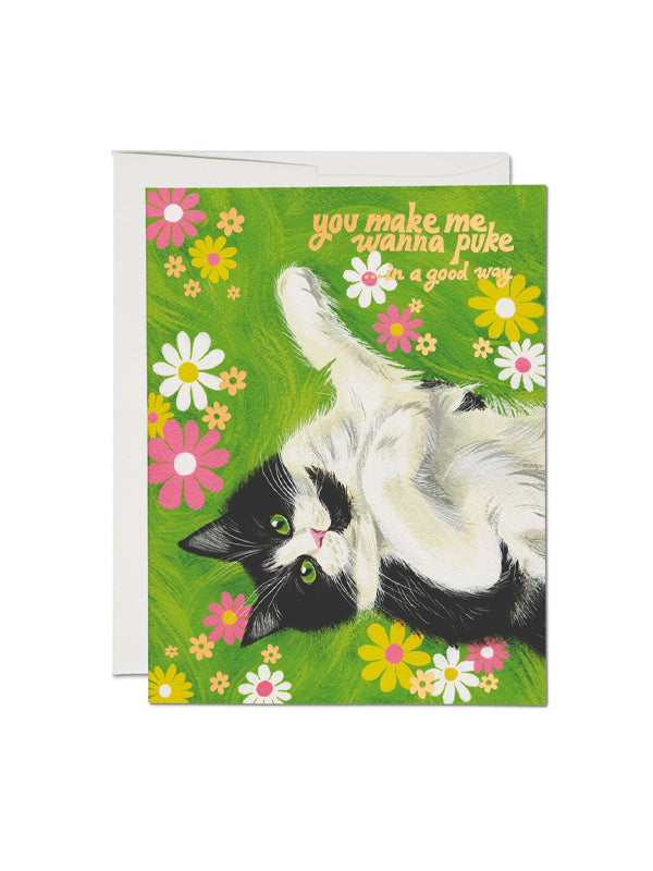 Nice Kitty Card