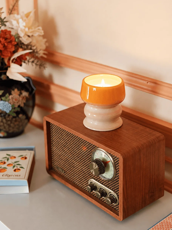 Melt Ceramic Candle: Infrared Mango 8.5 oz