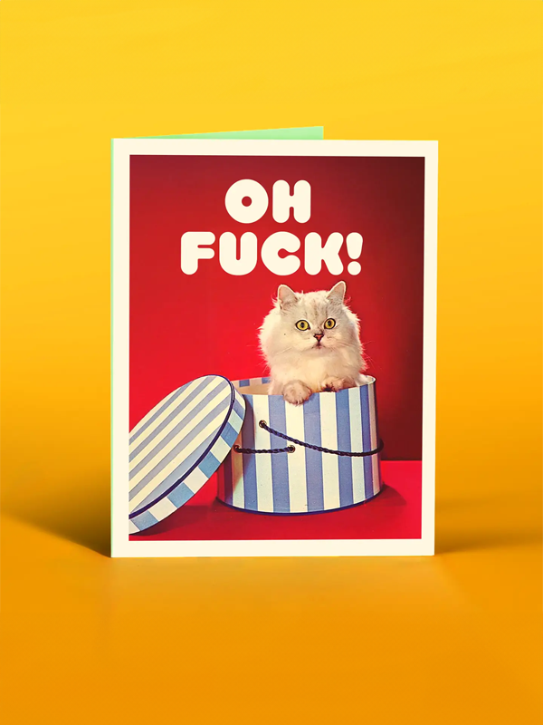 Cat In A Box Card (Oh F*ck!)