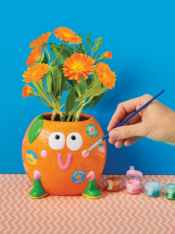 Paint & Grow Set: Orange