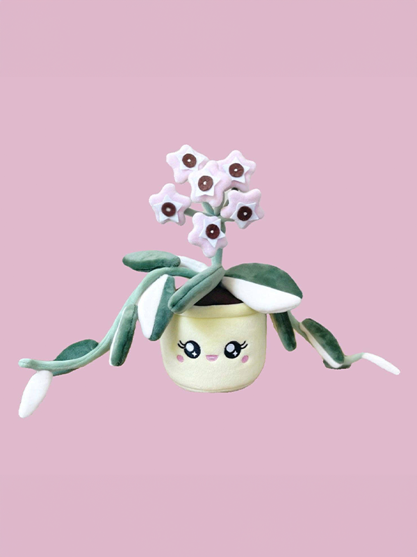 Hoya Carnosa Krimson Queen Plushie