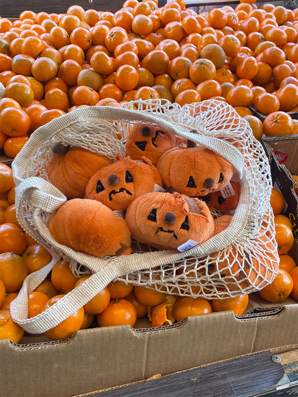 Forgotten Jack O' Lantern