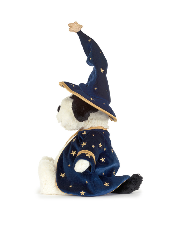 Rufferty Puppy: Wizard Outfit