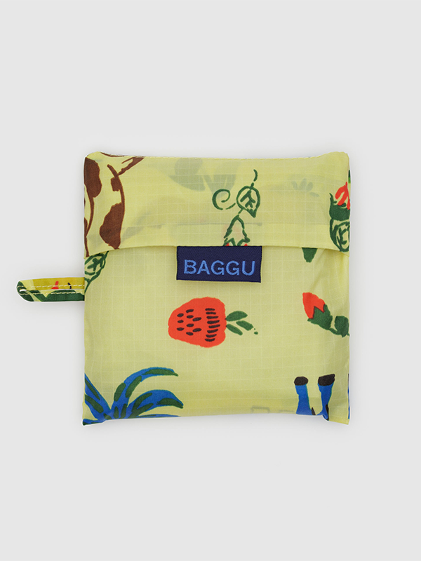Standard Baggu: Painted Prairie
