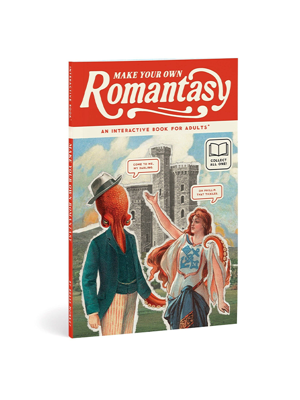 Make Your Own Romantasy Book