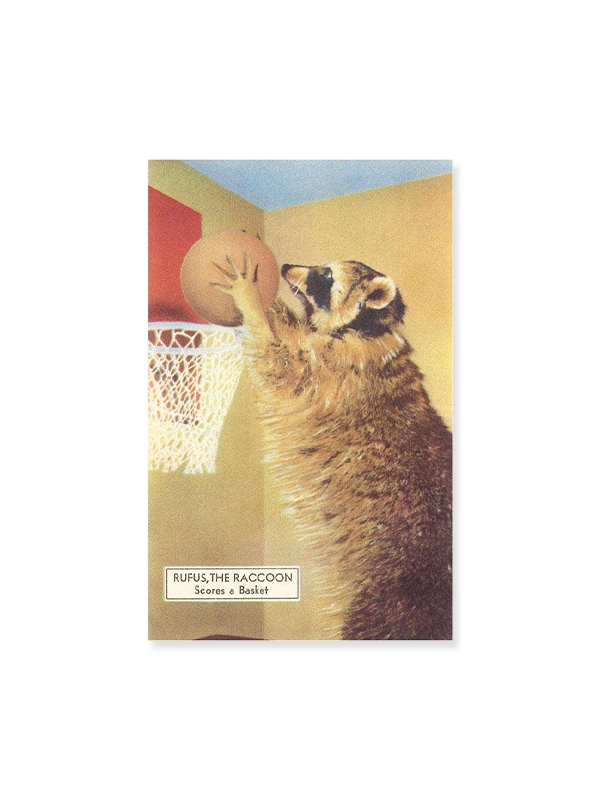 Magnet:  Raccoon Playing Basketball