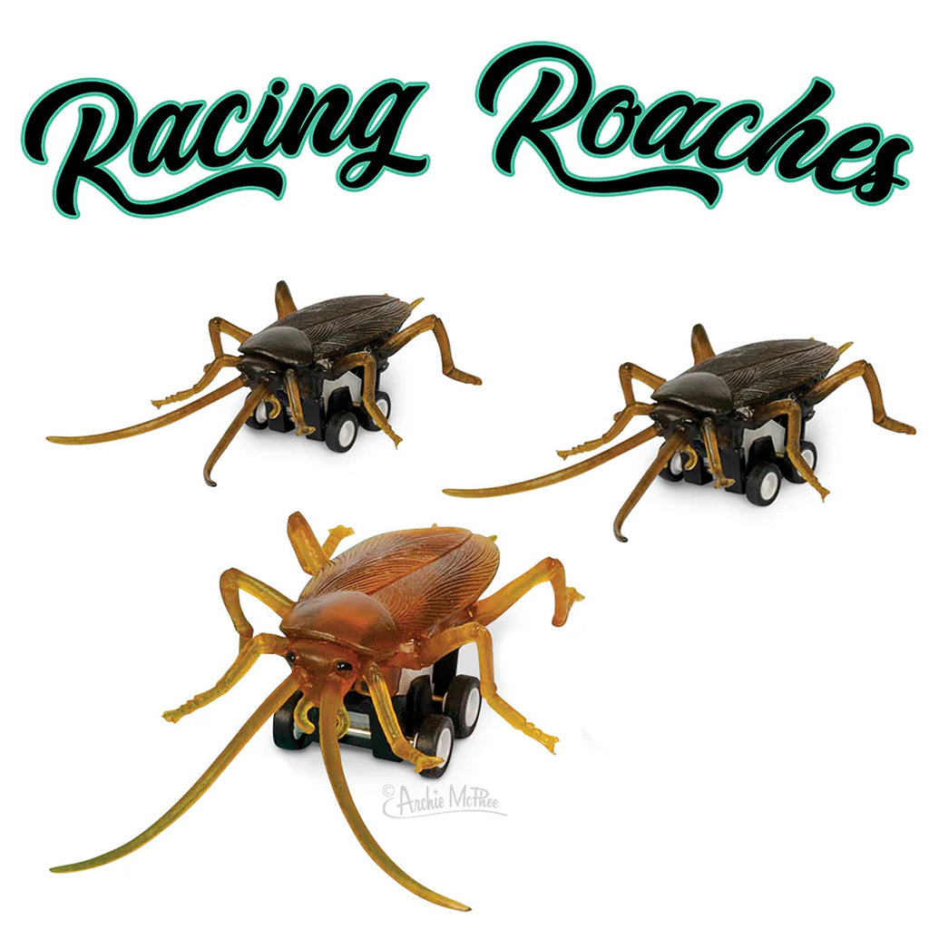 A set of small toy cockroaches designed for racing, with detailed, realistic features and colorful designs, lined up on a race track ready to race.