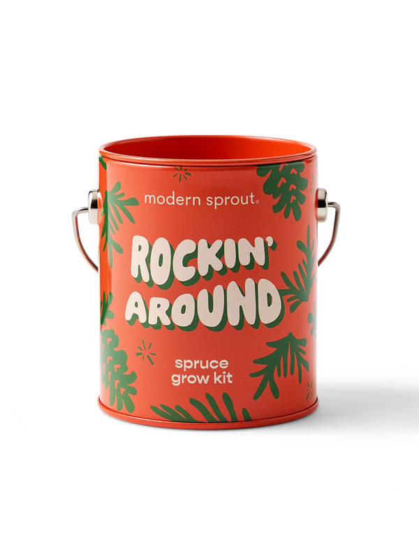 Holiday Grow Kits: Rockin' Around (Norway Spruce)
