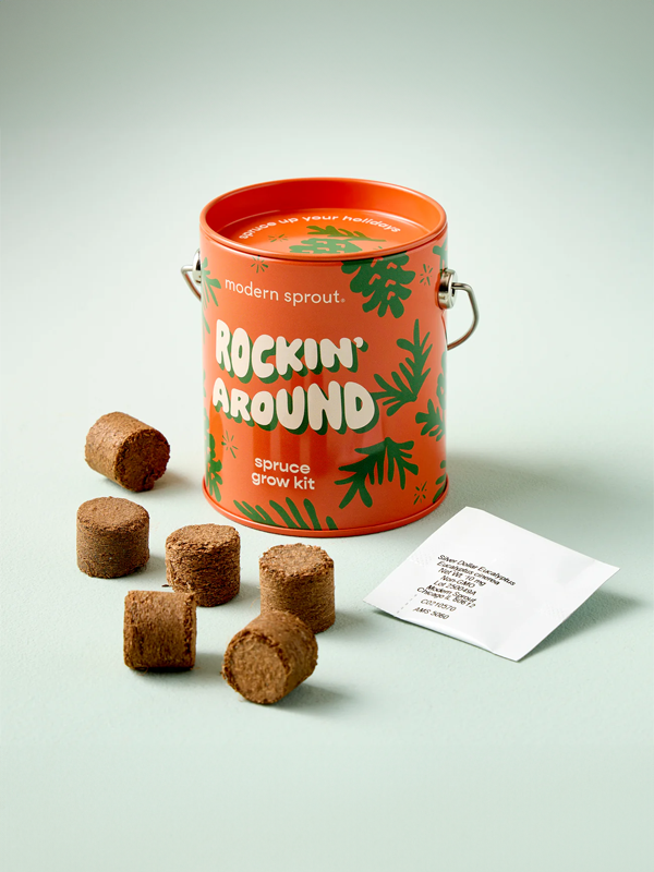 Holiday Grow Kits: Rockin' Around (Norway Spruce)