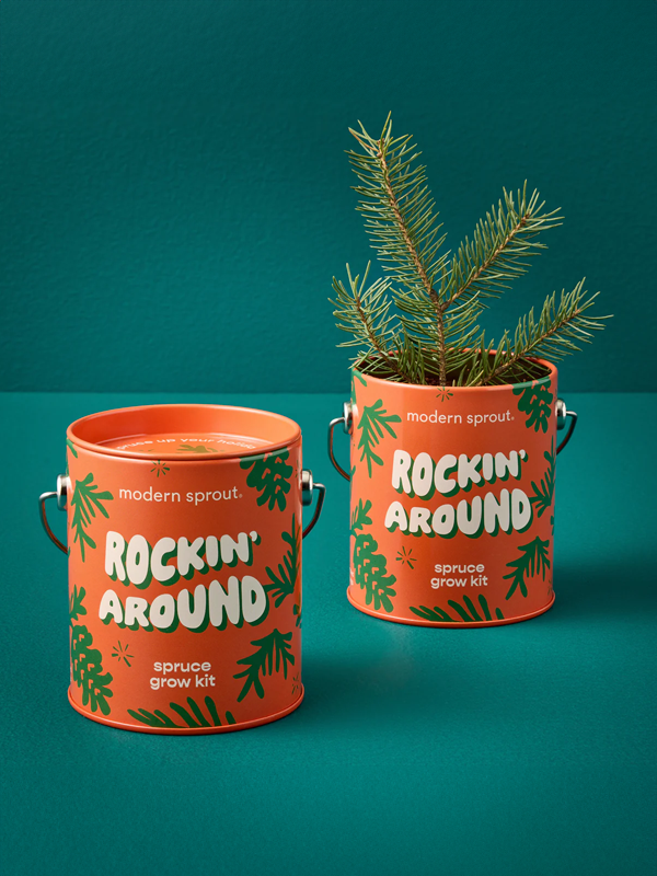 Holiday Grow Kits: Rockin' Around (Norway Spruce)