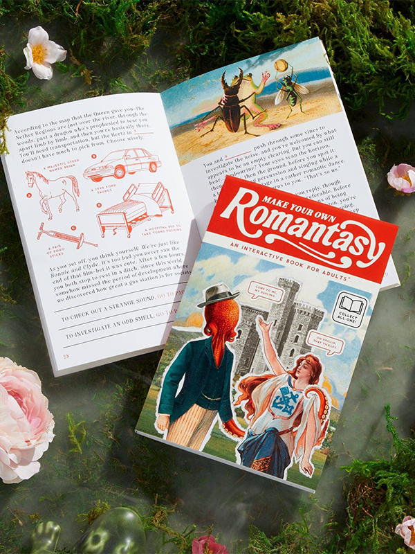 Make Your Own Romantasy Book
