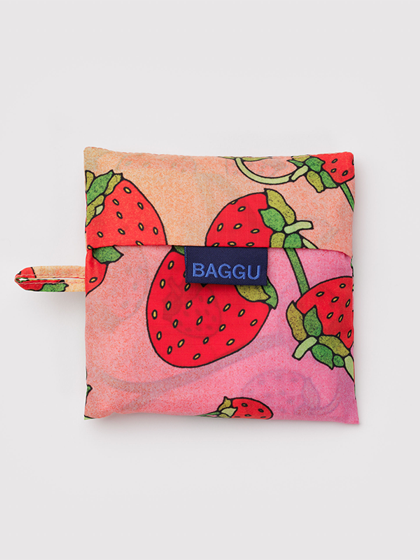 Standard Baggu: Strawberry Blossom