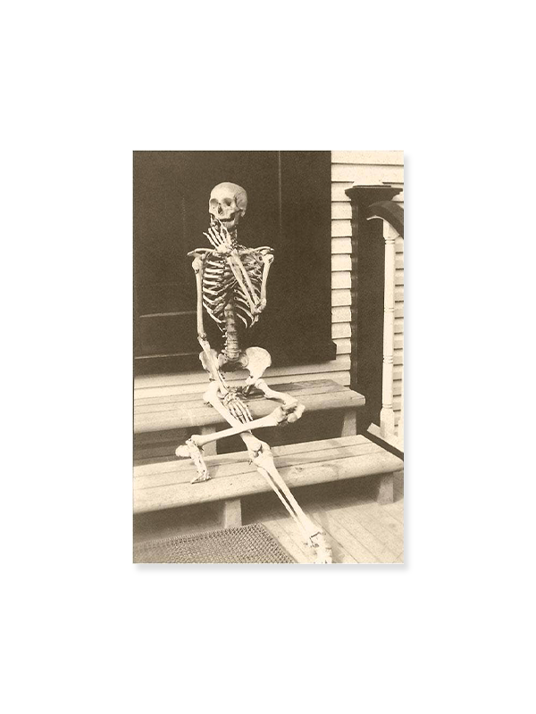 Magnet: Skeleton Posed for Picture