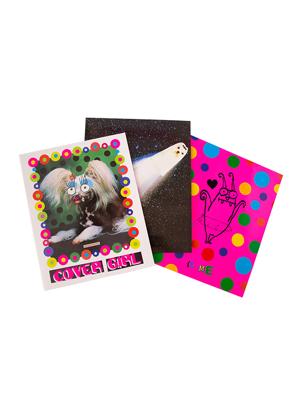 Organized Chaos Pocket Folder Set