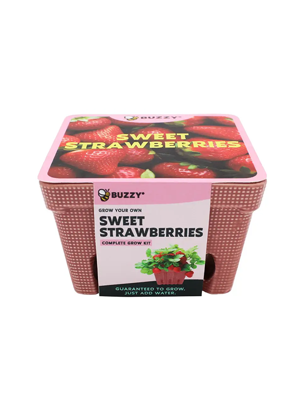 Strawberry Ceramic Grow Kit