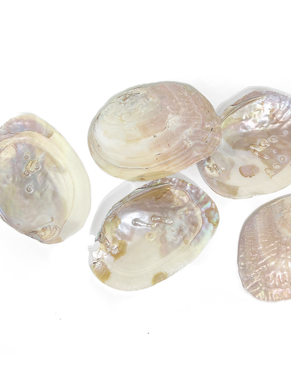 Pearl Shell Dish